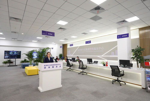 鏡觀回響 從一個(gè)區(qū)，看長三角更高水平開放下的貿(mào)易咨詢服務(wù)